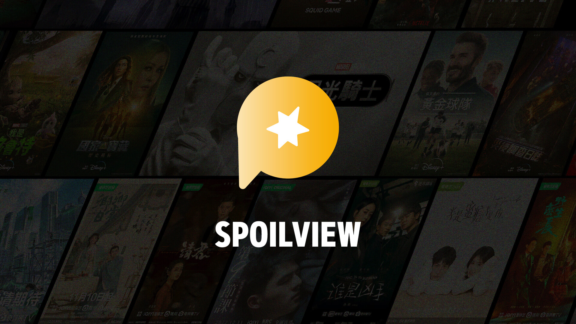 spoilview-img4